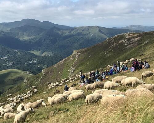 Visites Pastorales - Rencontre avec les bergers