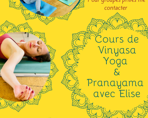 Cours de Vinyasa Yoga & Pranayama