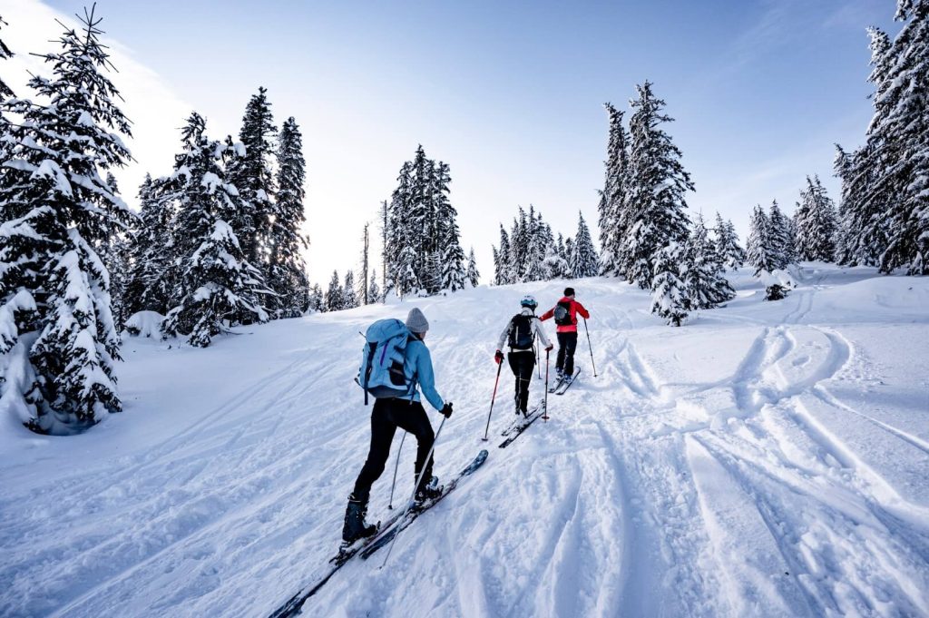 Skieurs de randonnée